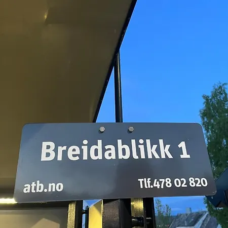 Bo I Historisk Bygning, Kort Vei Til Sentrum