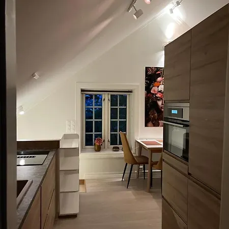 Bo I Historisk Bygning, Kort Vei Til Sentrum Apartmán *